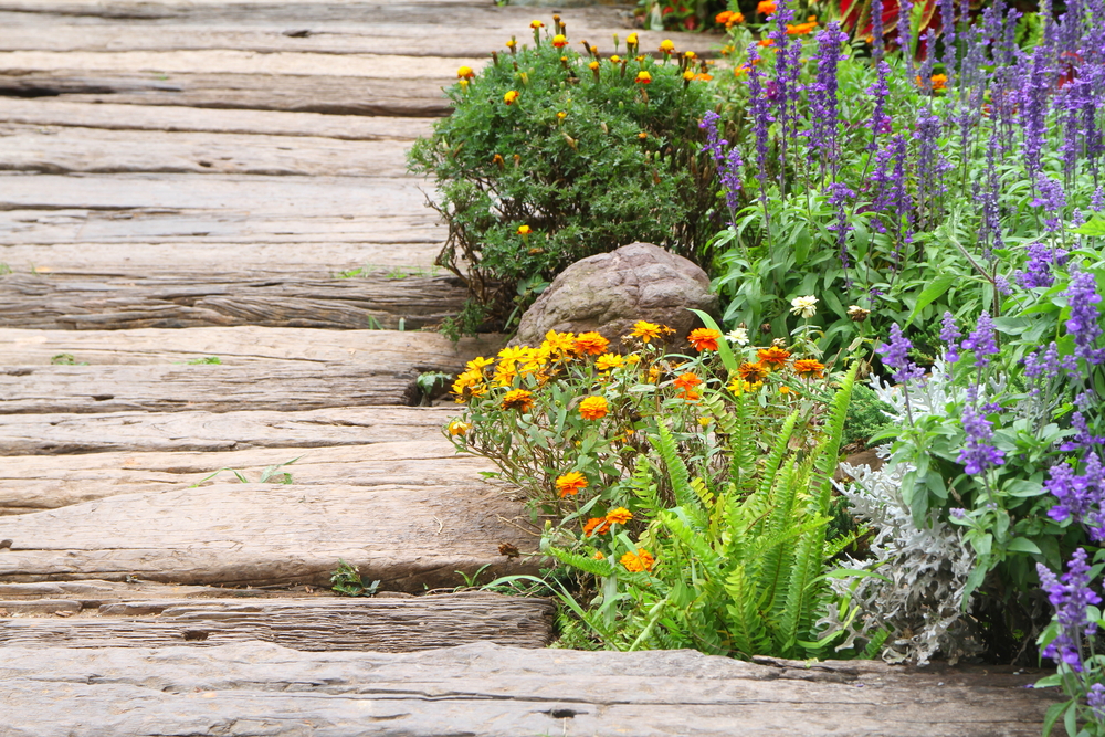 flowers, sustainable garden, rustic walkway