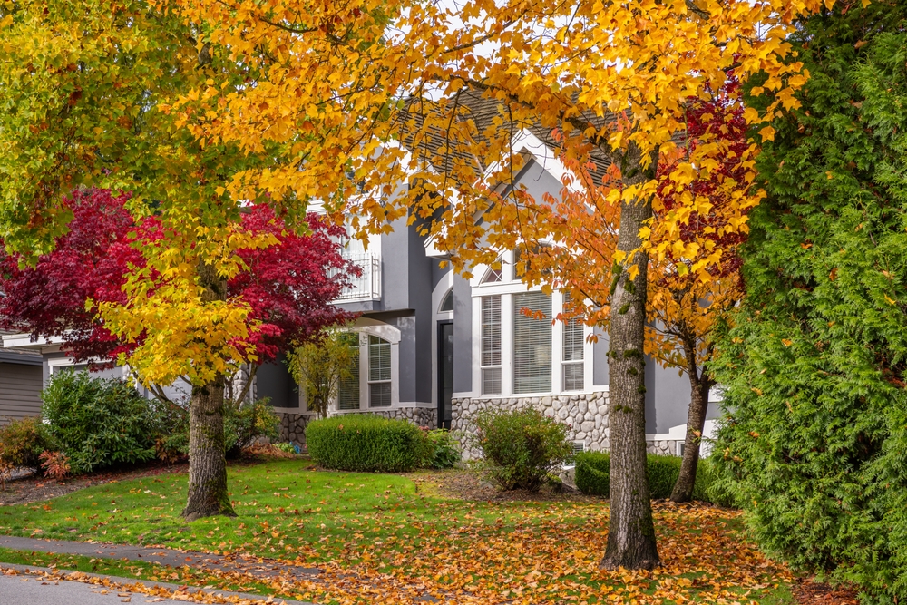 house exterior, fall leaves, trees, beautiful home