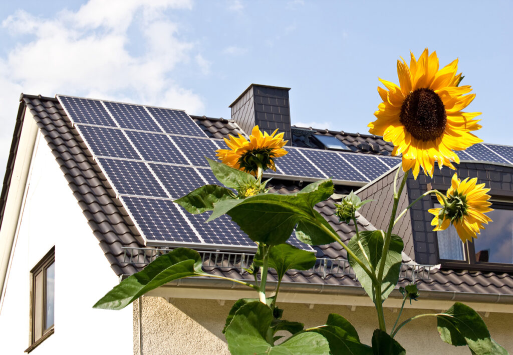 house rooftop with solar panels, sunflowers, sky